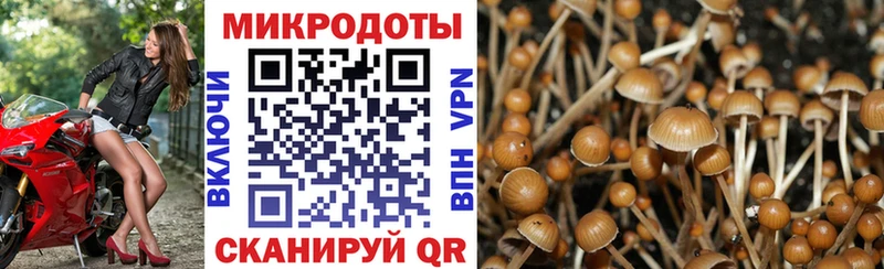 Галлюциногенные грибы Psilocybine cubensis  Чудово 